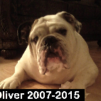 Oliver 2007-2015